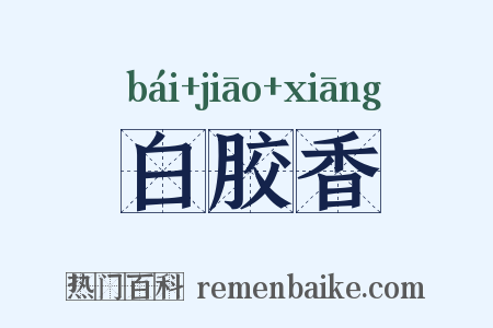 白胶香是什么意思的图片